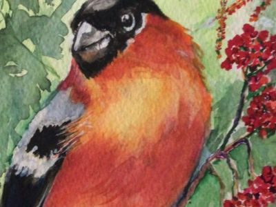 Maureen McIntosh - Watercolour