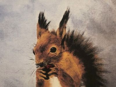Kate Blackie - Acrylics