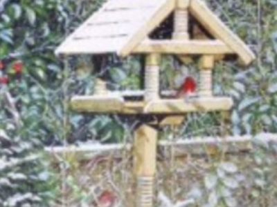 Dorothy Hamilton - 2 Robin - Gouache and acrylic