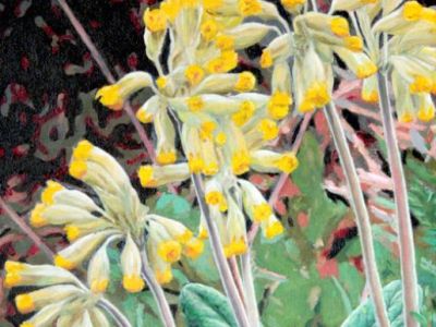 Niall A. Logan - Oil on linen - Cowslips, Acredyke