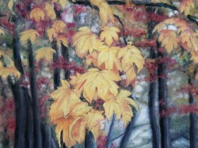 Shena Pyke - Soft Pastel on Pastelmat - Autumn Glow - Highly Commended
